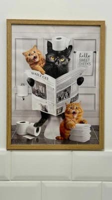 Chayka Home Hotel 37